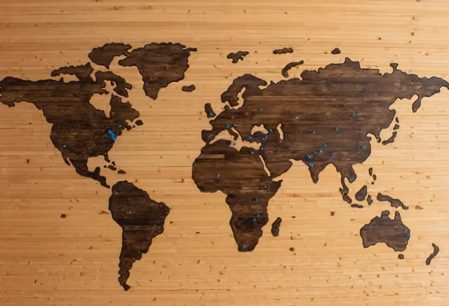 Diaspora Investment Services